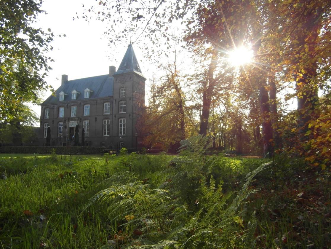 Kasteel Nemerlaer tussen groen en hoge bomen